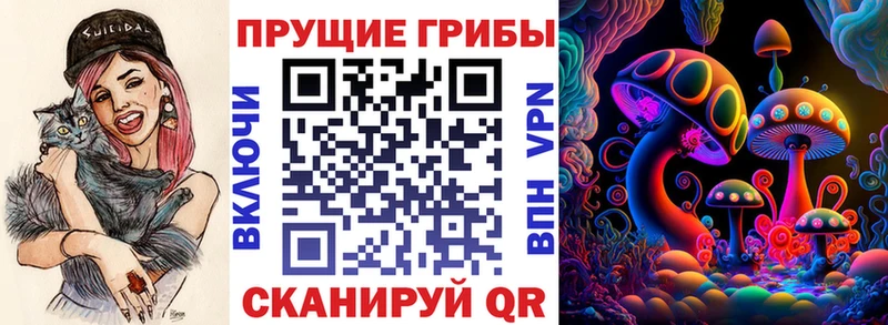 Галлюциногенные грибы мицелий  наркотики  мега как войти  Новокубанск 