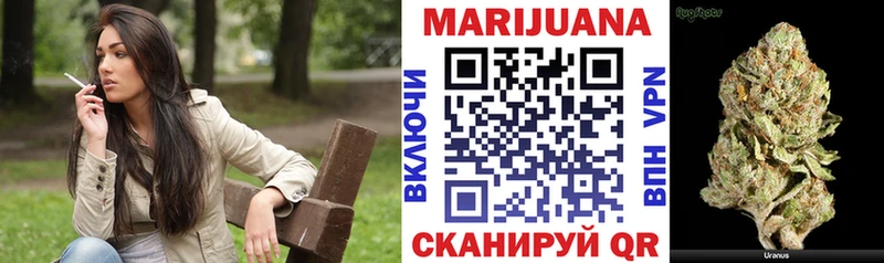 где можно купить наркотик  Новокубанск  Канабис VHQ 